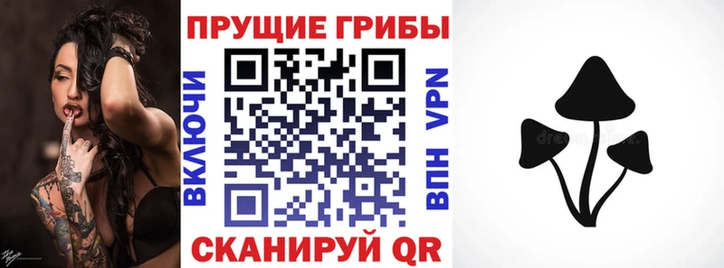 цены   Кулебаки  Галлюциногенные грибы мухоморы 